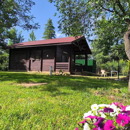 Casas Rurales Tabla Honda El Robledo  Buitenkant foto