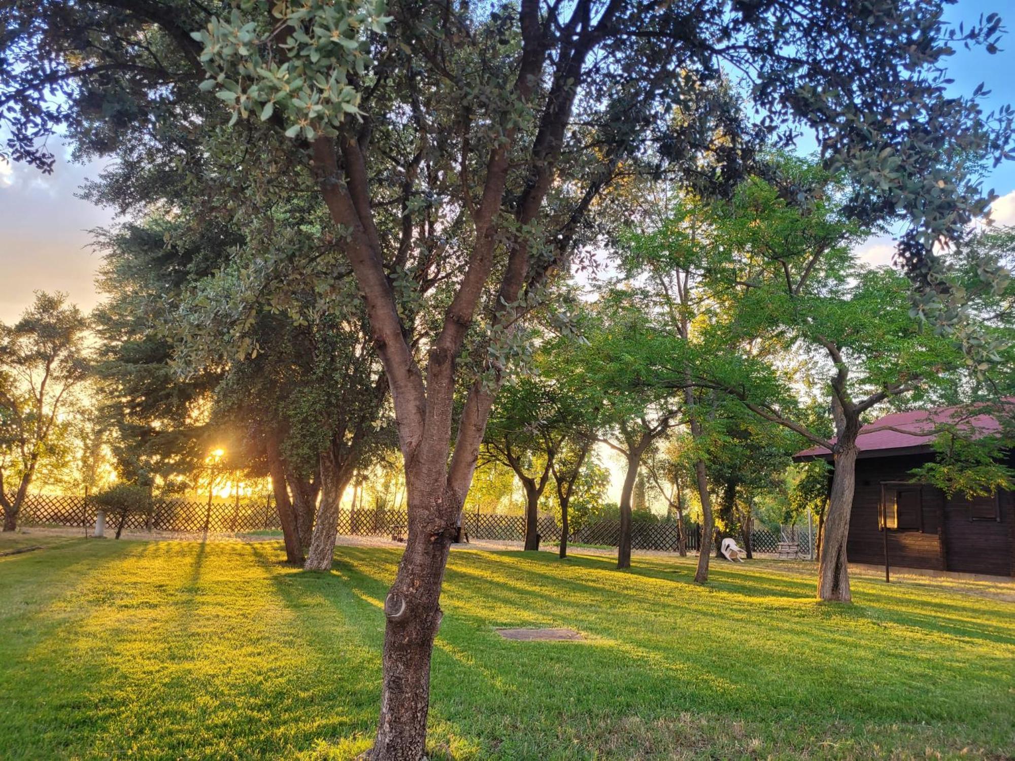 Casas Rurales Tabla Honda El Robledo  Buitenkant foto